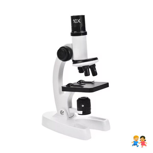 Kit Microscopio Compuesto Con Luz 300x A 1200x + Accesorios