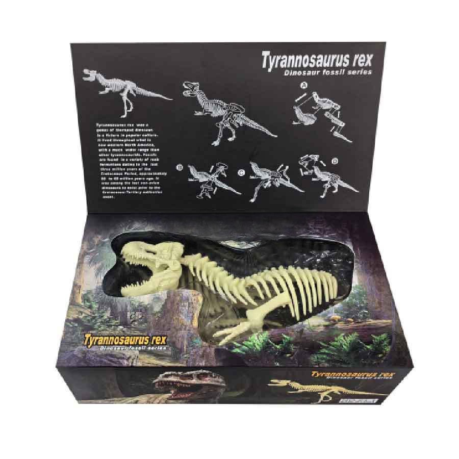 Esqueletos Dinosaurios Educativo Niños