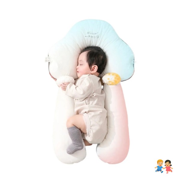 Cama Cojín Nido Colecho De Algodón y Almohada Reforzado.