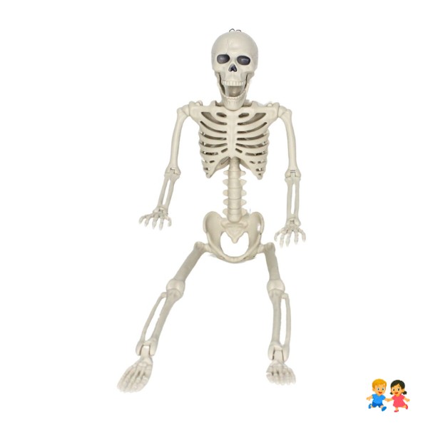 Esqueleto Humano Articulado De 55 Cm