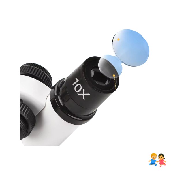 Kit Microscopio Compuesto Con Luz 300x A 1200x + Accesorios