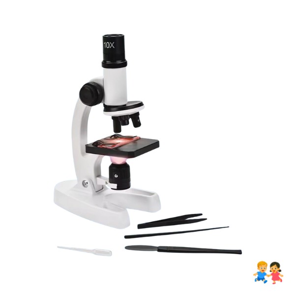 Kit Microscopio Compuesto Con Luz 300x A 1200x + Accesorios