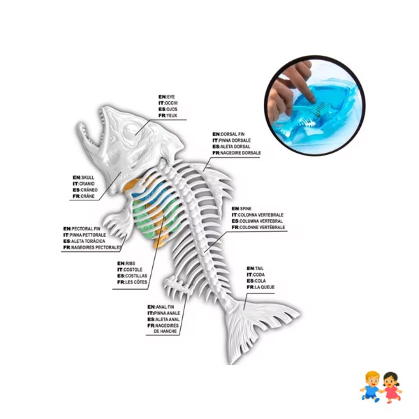 Kit Educativo de Ciencias para Niños Juego de Disección Animal