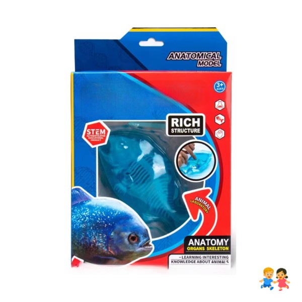 Kit Educativo de Ciencias para Niños Juego de Disección Animal