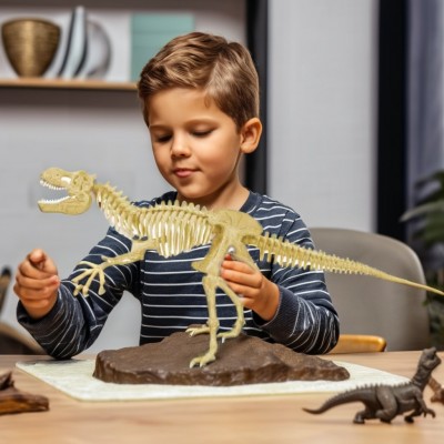 Esqueletos Dinosaurios Educativo Niños