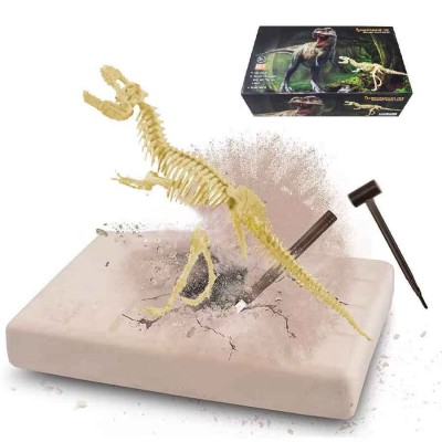 Esqueletos Dinosaurios Educativo Niños