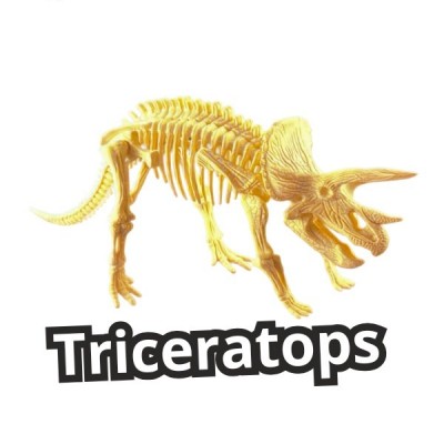 Esqueletos Dinosaurios Educativo Niños