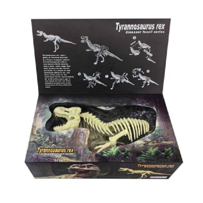 Esqueletos Dinosaurios Educativo Niños